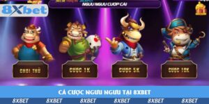 ca-cuoc-nguu-nguu-tai-8xbet